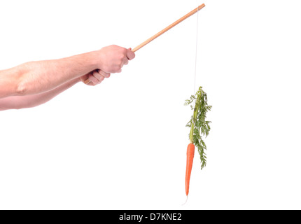 La motivazione di pendeva una carota su un bastone isolato su bianco Foto Stock