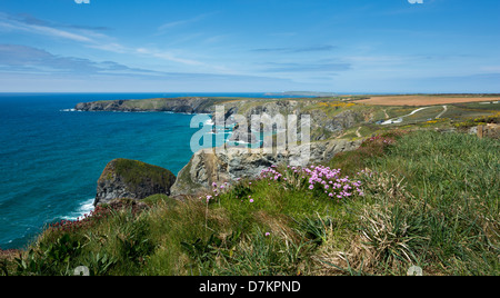 Tregurrian Cornwall Regno Unito in primavera. Foto Stock