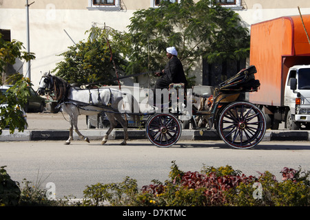 WHITE HORSE & CART LUXOR EGITTO 13 Gennaio 2013 Foto Stock