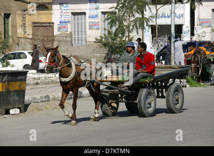 BROWN HORSE & CART LUXOR EGITTO 13 Gennaio 2013 Foto Stock