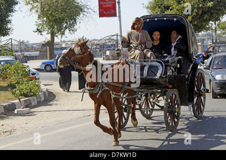 BROWN HORSE & CART LUXOR EGITTO 13 Gennaio 2013 Foto Stock