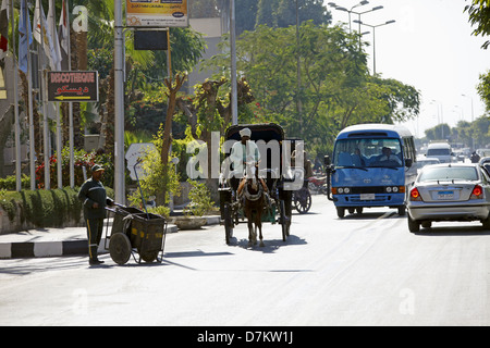 BROWN HORSE & CART & ROAD LUXOR EGITTO 13 Gennaio 2013 Foto Stock