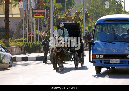 BROWN HORSE & CART & ROAD LUXOR EGITTO 13 Gennaio 2013 Foto Stock