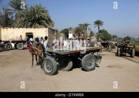 La gente del villaggio con Donkey & carrello villaggio nei pressi di Luxor Egitto 14 Gennaio 2013 Foto Stock