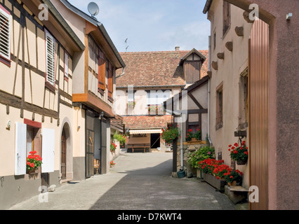 Scenario di strada di Mittelbergheim, un villaggio di una regione in Francia denominato Alsazia Foto Stock