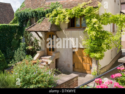 Idilliaca casa ricoperta dettaglio in Mittelbergheim, un villaggio di una regione in Francia denominato Alsazia Foto Stock