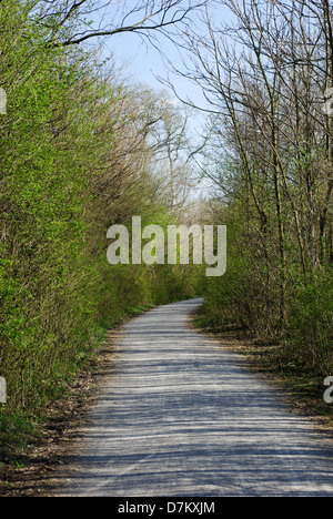 Percorso vuoto nella Lobau, una Vienna recreation area in primavera Foto Stock
