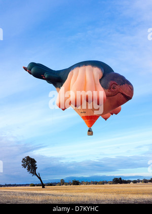 Skywhale, Canberra centenario pallone vola di terreni agricoli in Victoria. Foto Stock