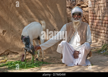 Una volta che un serpente incantatore ora questo villaggio sambuco trascorre del tempo con un nuovo amico fidato. Il divieto di snake affascinante in India ha lasciato molti Saperas, in particolare la generazione di anziani con scarse opportunità di lavoro. Vi sembra poco entusiasmo ad apprendere nuove competenze al loro tempo di vita Foto Stock