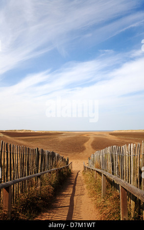 Una vista alla spiaggia con la bassa marea dal percorso di accesso a Holkham Gap, Norfolk, Inghilterra, Regno Unito. Foto Stock