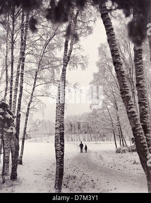 Una serena scena invernale nei boschi di Stoccolma, Svezia, che mostra un uomo e un ragazzo che camminano attraverso la neve. Questa fotografia cattura la tranquillità del paesaggio invernale svedese. Foto Stock