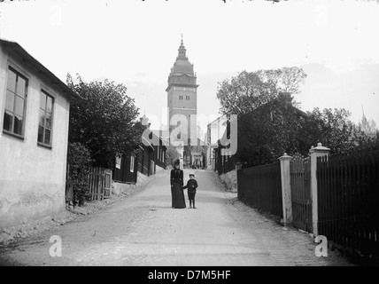 La cattedrale di Strängnäs, situata a Södermanland, in Svezia, è una chiesa medievale risalente al XIII secolo. Conosciuta per la sua architettura gotica, la cattedrale ha un'importanza culturale e religiosa significativa nella storia svedese. Foto Stock