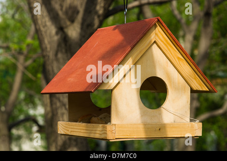 Bella bird feeder appeso a un albero Foto Stock