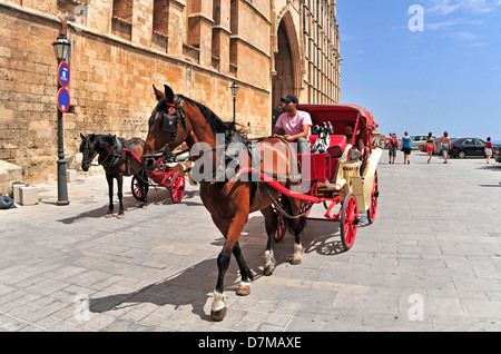 In Spagna, le isole Baleari, Palma de Mallorca, Palma de Mallorca Foto Stock