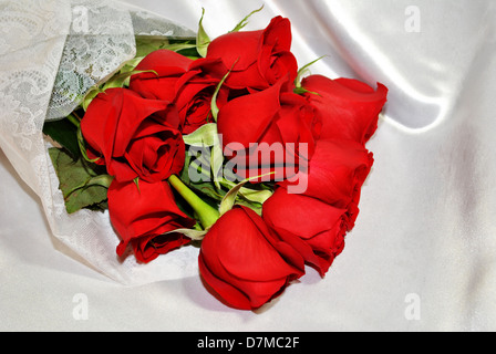 {"W':400,'h':268} rose rosso su bianco seta Foto Stock