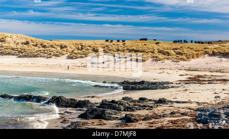 Vista di Balnakeil Bay a nord Highlands baia vicino a Durness., Scozia, Regno Unito, Europa. Foto Stock