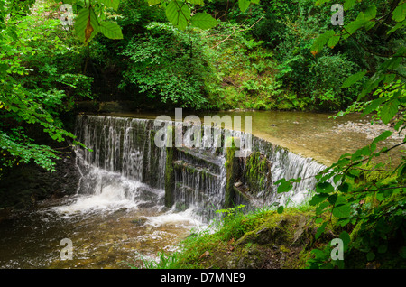 Uno stregone su Stock Ghyll nel Lake District National Park, Ambleside, Cumbria, Inghilterra. Foto Stock