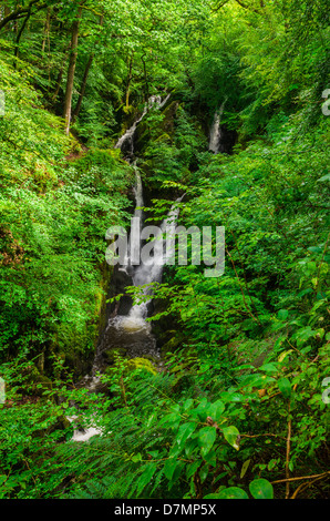 Forza Stockghyll nel distretto del lago, ambleside, cumbria, Inghilterra. Foto Stock