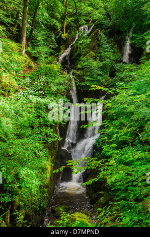 Forza Stockghyll nel distretto del lago, ambleside, cumbria, Inghilterra. Foto Stock