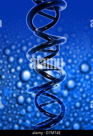 Molecola di DNA, artwork Foto Stock