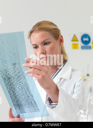 La ricerca genetica Foto Stock