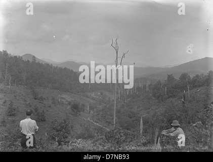 La regione di Cooper Creek delle Blue Ridge Mountains in Georgia, Stati Uniti, è conosciuta per la sua variegata collezione botanica e i panorami panoramici. La regione ospita varie specie di alberi e paesaggi unici, spesso visitati da spedizioni botaniche alla ricerca di esemplari di flora locale. Foto Stock