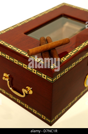 Tre sigari su un humidor in legno box Foto Stock