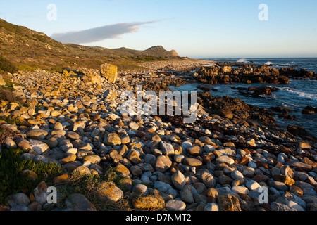 Capo di Buona Speranza La Riserva Naturale di Cape Peninsula, Sud Africa Foto Stock