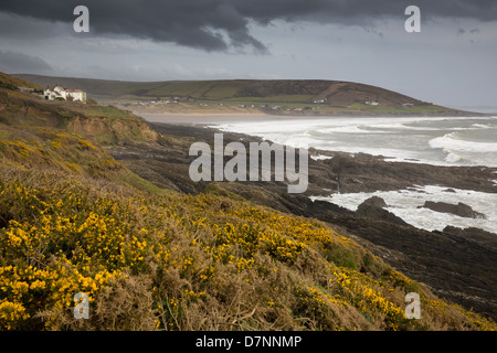 Costiera sul pendio coperto costa dell'Inghilterra a Woolacombe Devon Foto Stock