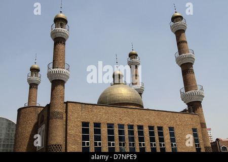 Provincia di Xinjiang.Cina 2010 Foto Stock