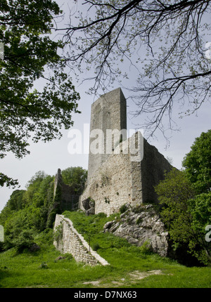 Abbandonato il castello (Rocca Silvana in Selvena, Castell'Azzara, Toscana, Italia) Foto Stock