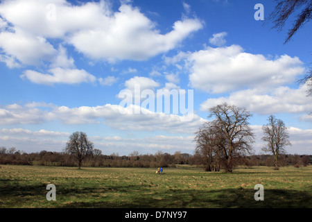 Nonsuch Park Surrey, Inghilterra, Regno Unito. Foto Stock