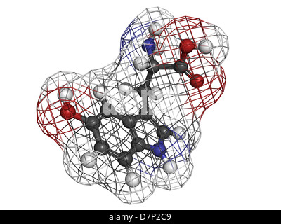 5-idrossitriptofano (5-HTP, oxitriptan) antidepressivo, modello molecolare. 5-HTP è usato come un antidepressivo, aiuto per dormire, etc Foto Stock