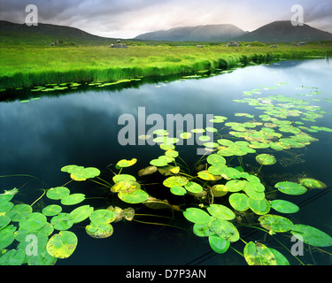 IE - Connemara: Ahalia fiume al Maam Cross Foto Stock