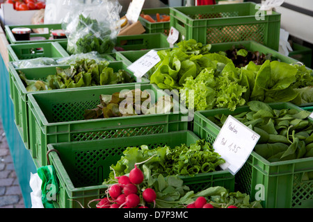 Ortaggi da una fattoria biologica della zona di essere venduta sul mercato del sabato mattina a Nienburg. Foto Stock