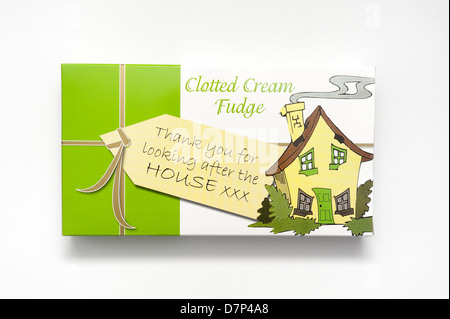 Clotted Cream fudge holiday souvenir regalo per le persone che cercano dopo casa tua Foto Stock