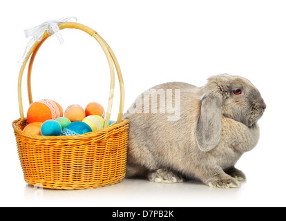 Grigio-lop earred il coniglio e il cesto di Pasqua, isolato su bianco Foto Stock