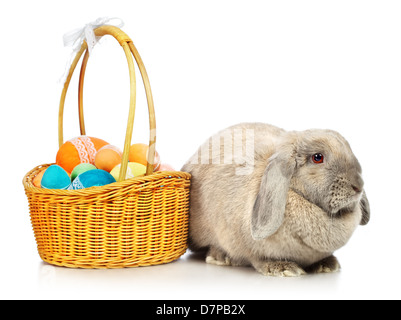 Grigio-lop earred il coniglio e il cesto di Pasqua, isolato su bianco Foto Stock