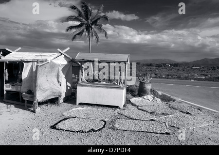 SABAH, MALESIA ORIENTALE Settembre 30 2009: un fornitore stradale si asciuga i vassoi di arachidi in una sosta lungo l'autostrada A1 in Malesia Foto Stock