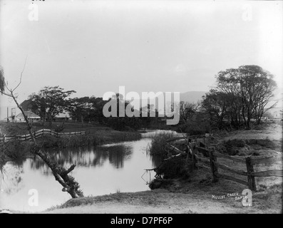 Mullet Creek, Dapto Foto Stock