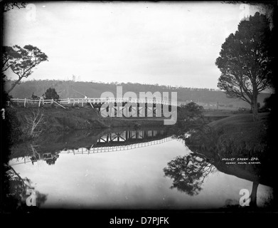 Mullet Creek Foto Stock