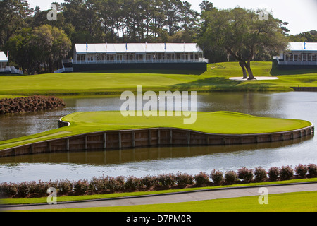 La famosa isola di diciassettesimo foro verde di TOC Sawgrass Stadium corso è raffigurato in Ponte Vedra Beach, Florida Foto Stock