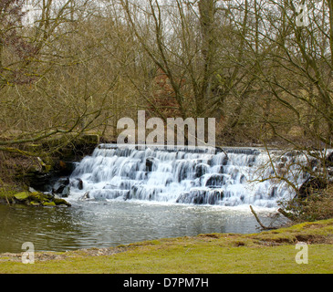 Cannon hall barnsley south yorks cascata slow shutter a velocità acqua lattiginosa Foto Stock