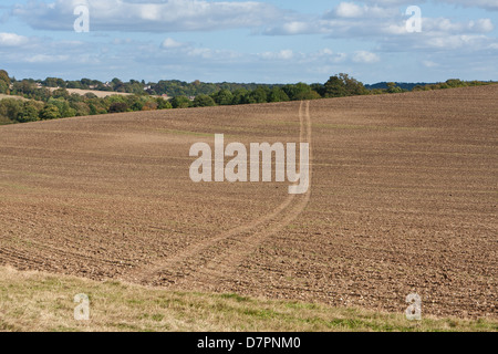 Tracce di pneumatici attraverso un campo Foto Stock