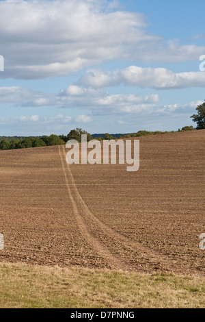 Tracce di pneumatici attraverso un campo Foto Stock