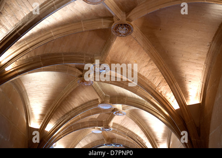 Chateau de Chenonceau in Loire, Francia. Soffitto a volta. Foto Stock