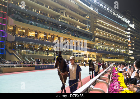 Dh Ippodromo Happy Valley Causeway Bay Hong Kong Hong Kong i cavalli da corsa gara notturna sale riunioni Foto Stock