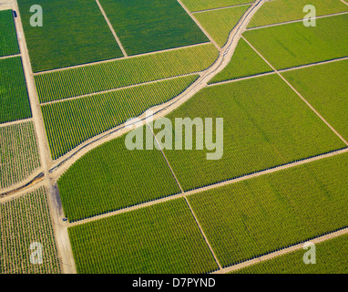 Riprese aeree della California del sud Foto Stock