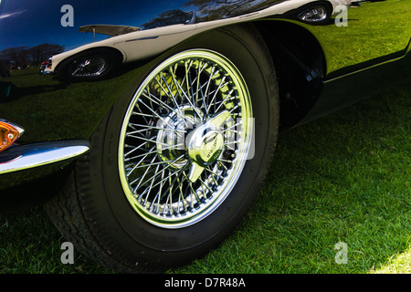 Una Jaguar e a filo del tipo a ruota a razze Foto Stock