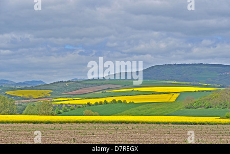 Campagna pianura Limagne Auvergne Francia Foto Stock